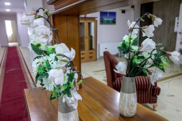 Hotel Borjomi Aisi Боржоми Екстериор снимка