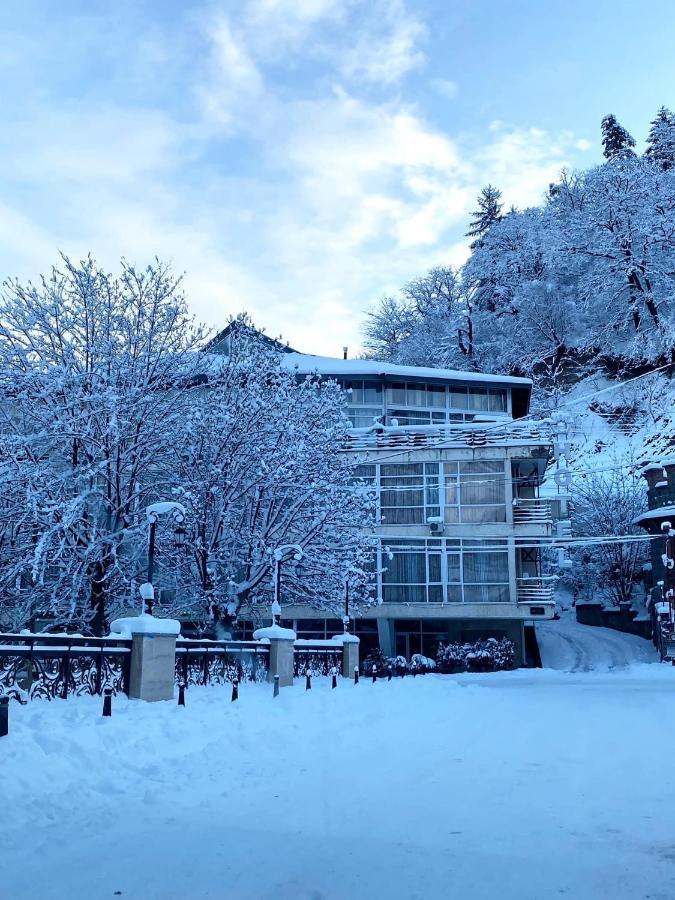 Hotel Borjomi Aisi Боржоми Екстериор снимка